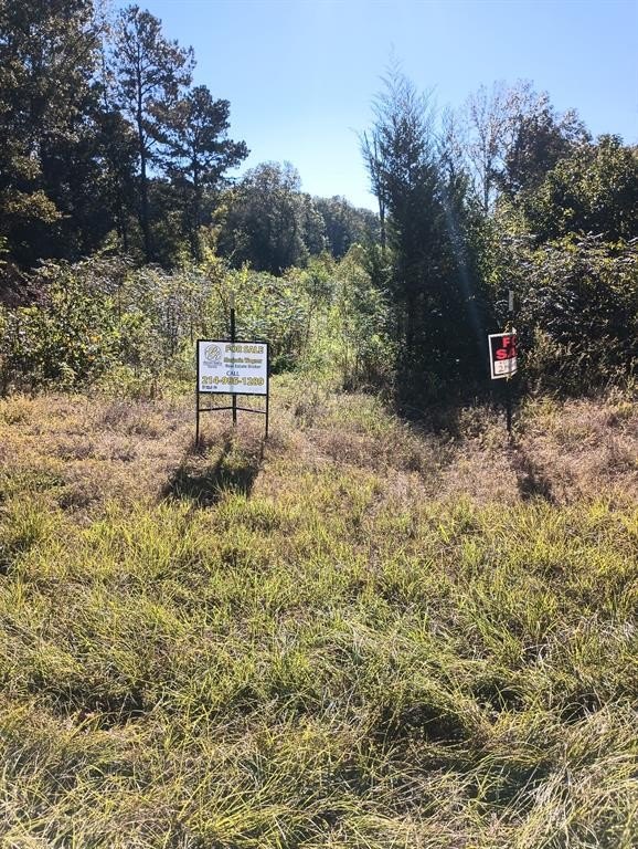 Plots and Land - 454 County Road 3334, Atlanta, TX