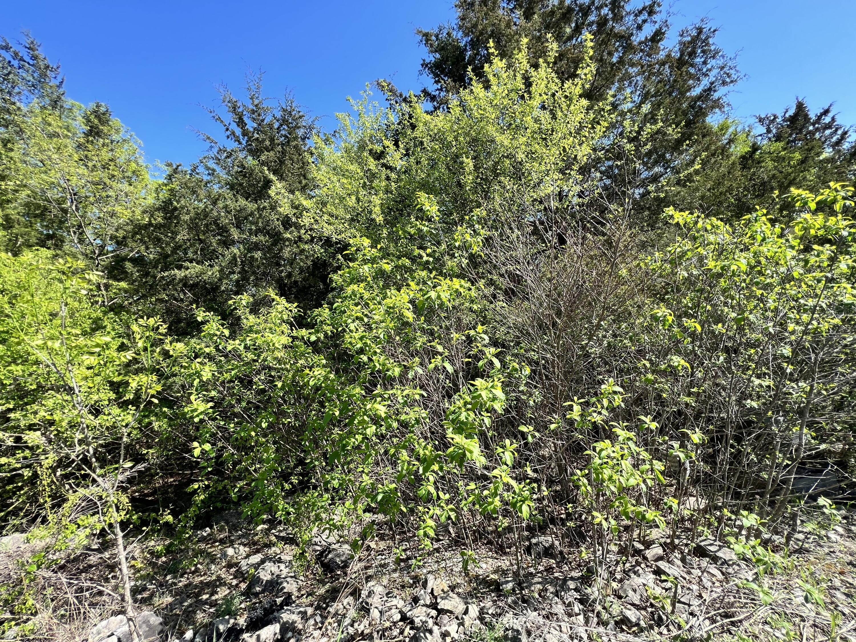 000 Lot 187 Sharay Cir  