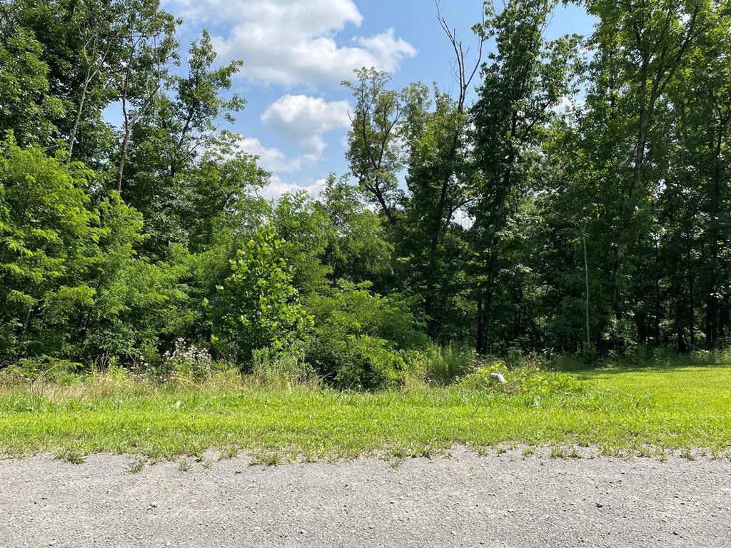 Lot 25 Hemlock Hls Rd