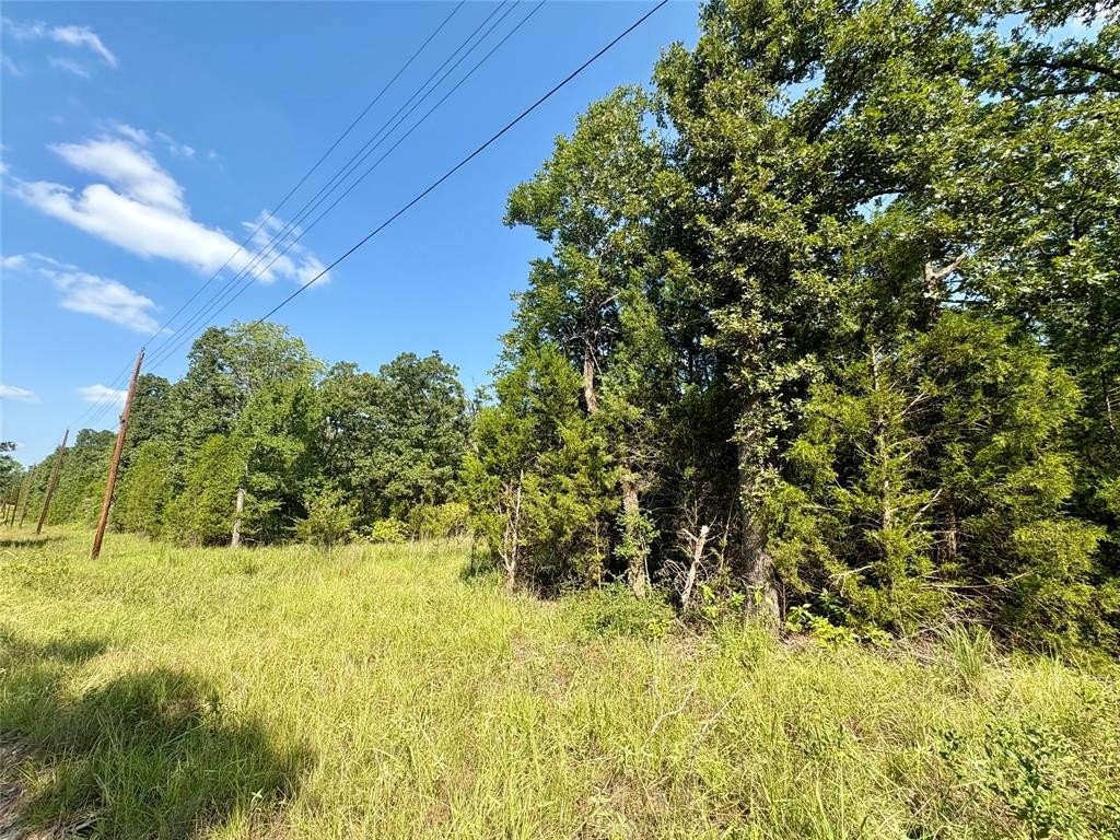 Plots and Land - 00 Paladin Drive, Log Cabin, TX