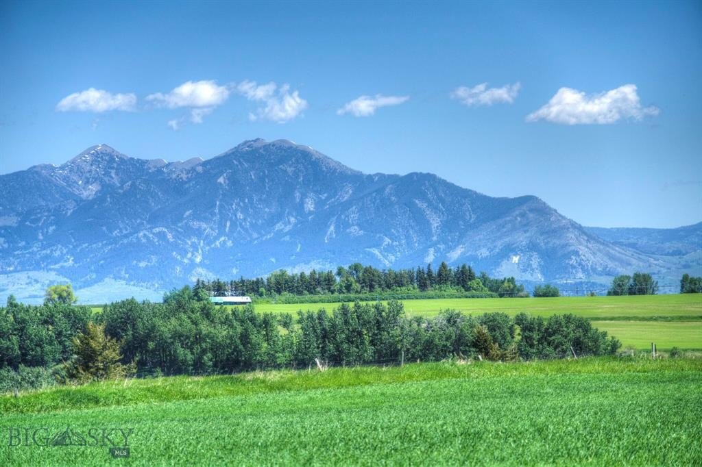 Other - 13830 (Tract D) Cottonwood Road, Bozeman, MT