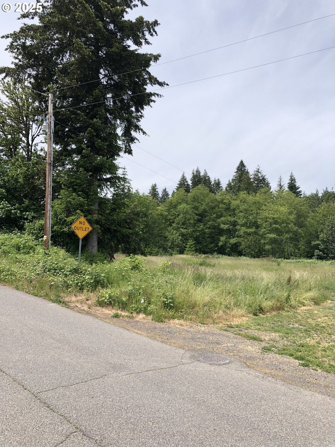 Single Family - Cougar St, Vernonia, OR