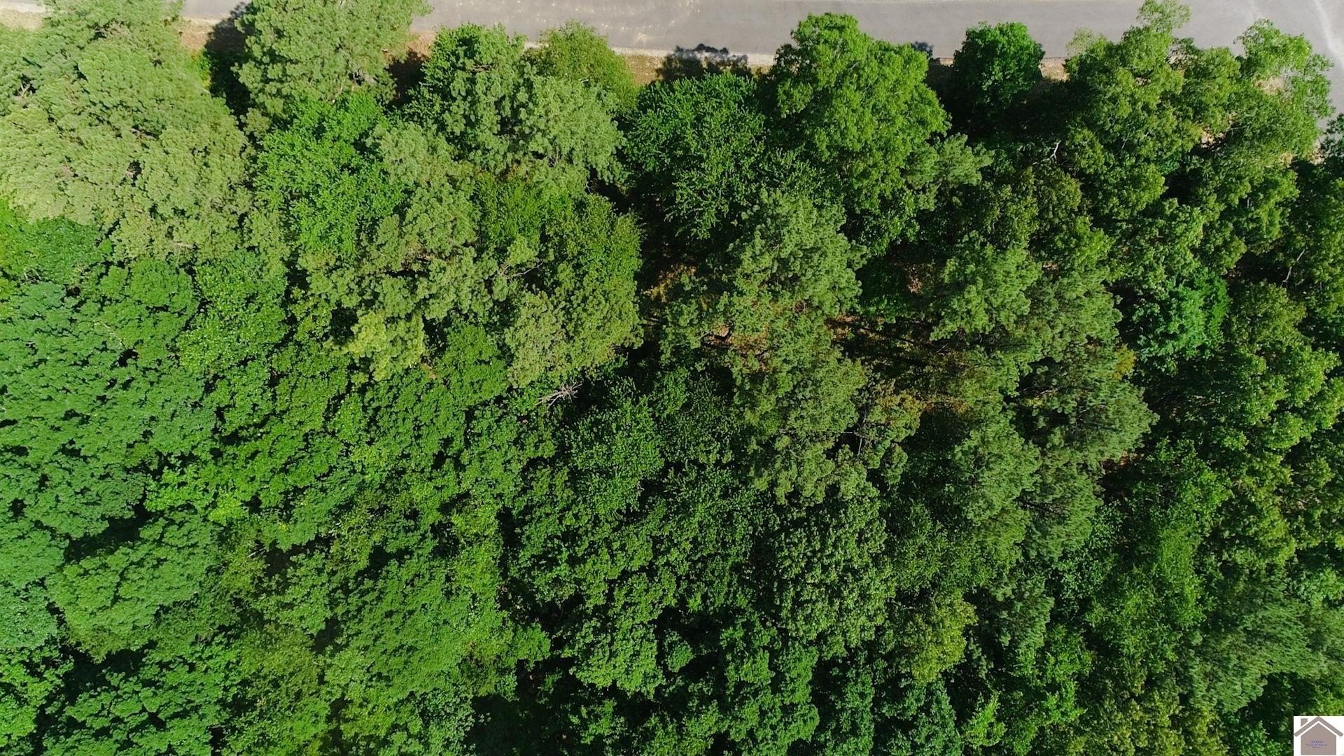 Other - 00 Streetland Ln, Murray, KY