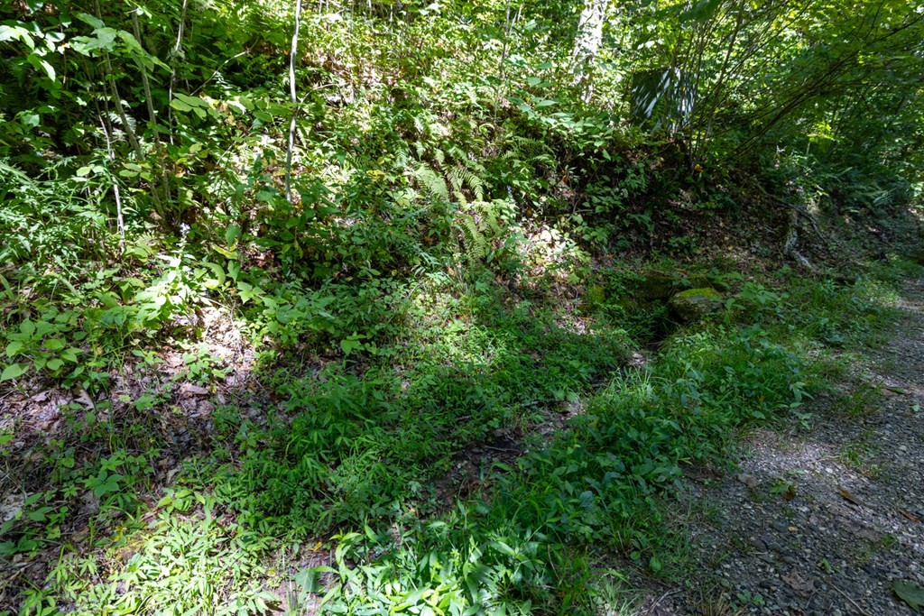 Other - E Cliff Rd lot: 13, Cullowhee, NC