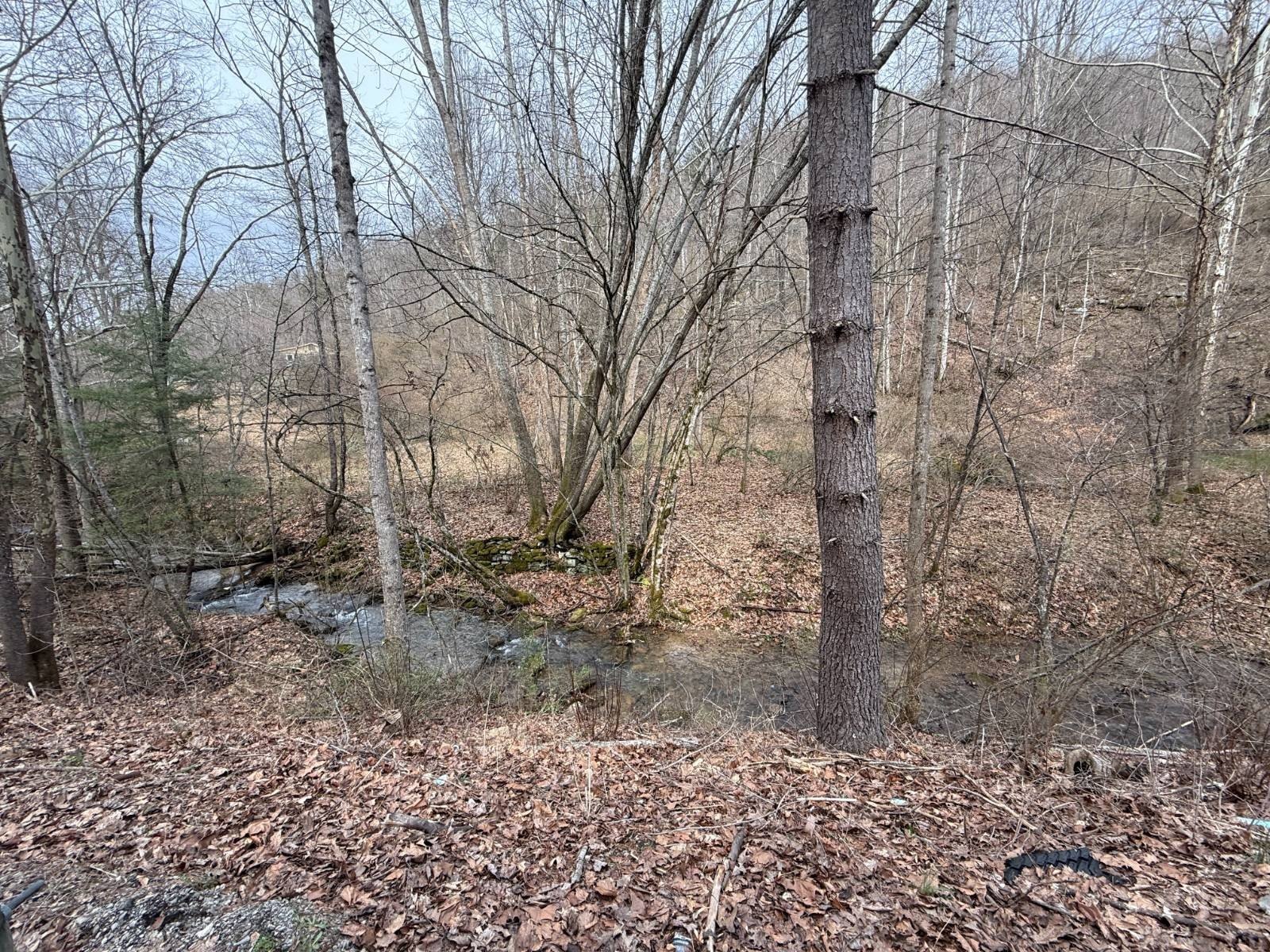 Other - Kanawha Run Rd, Sutton, WV