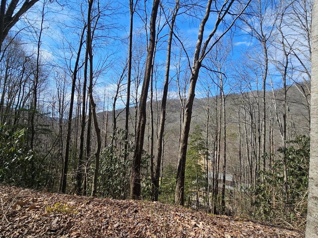 Other - Lot 16 Warrior Way, Andrews, NC