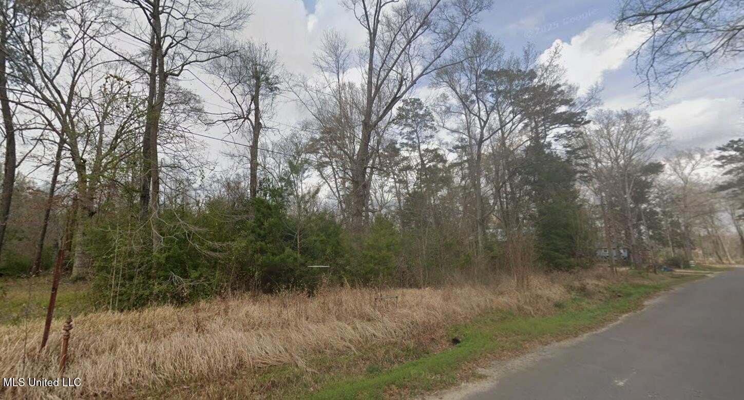 Single Family - Holly Drive lot: 31, Lucedale, MS