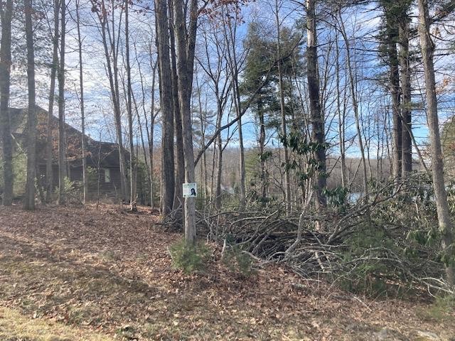 Other - 124 ROBERT WAY, DANIELS, WV