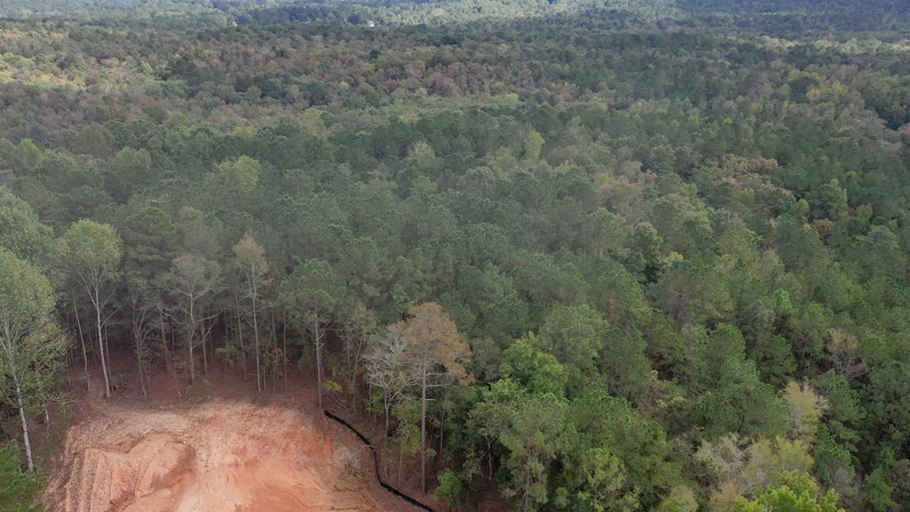 Other - 8782 Creekrise Drive, Columbus, GA