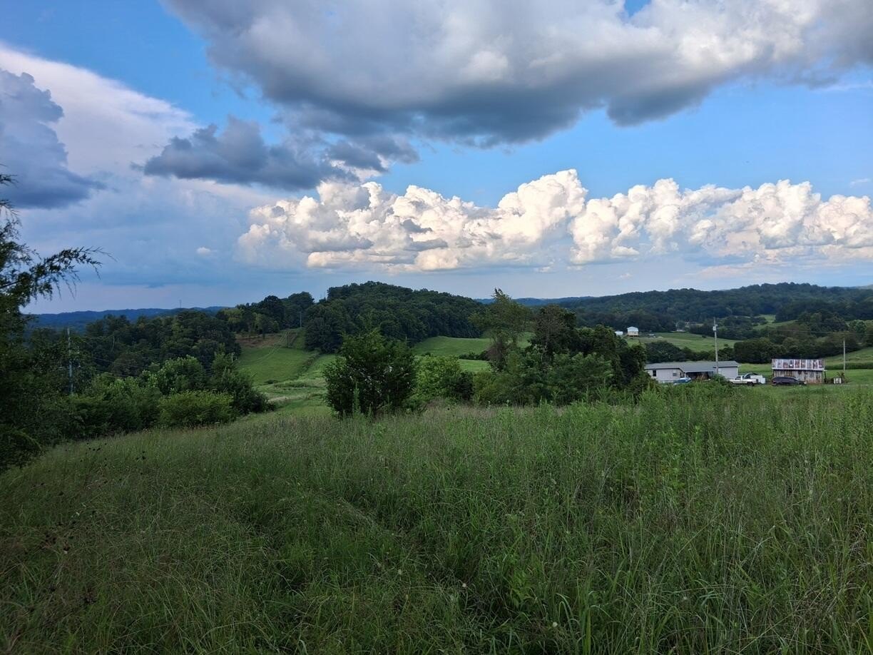 Other - Irish Cut, Newport, TN