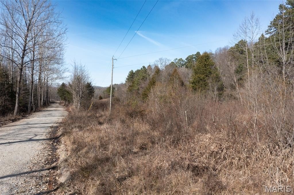 Plots and Land - 0 Madison 441, Fredericktown, MO