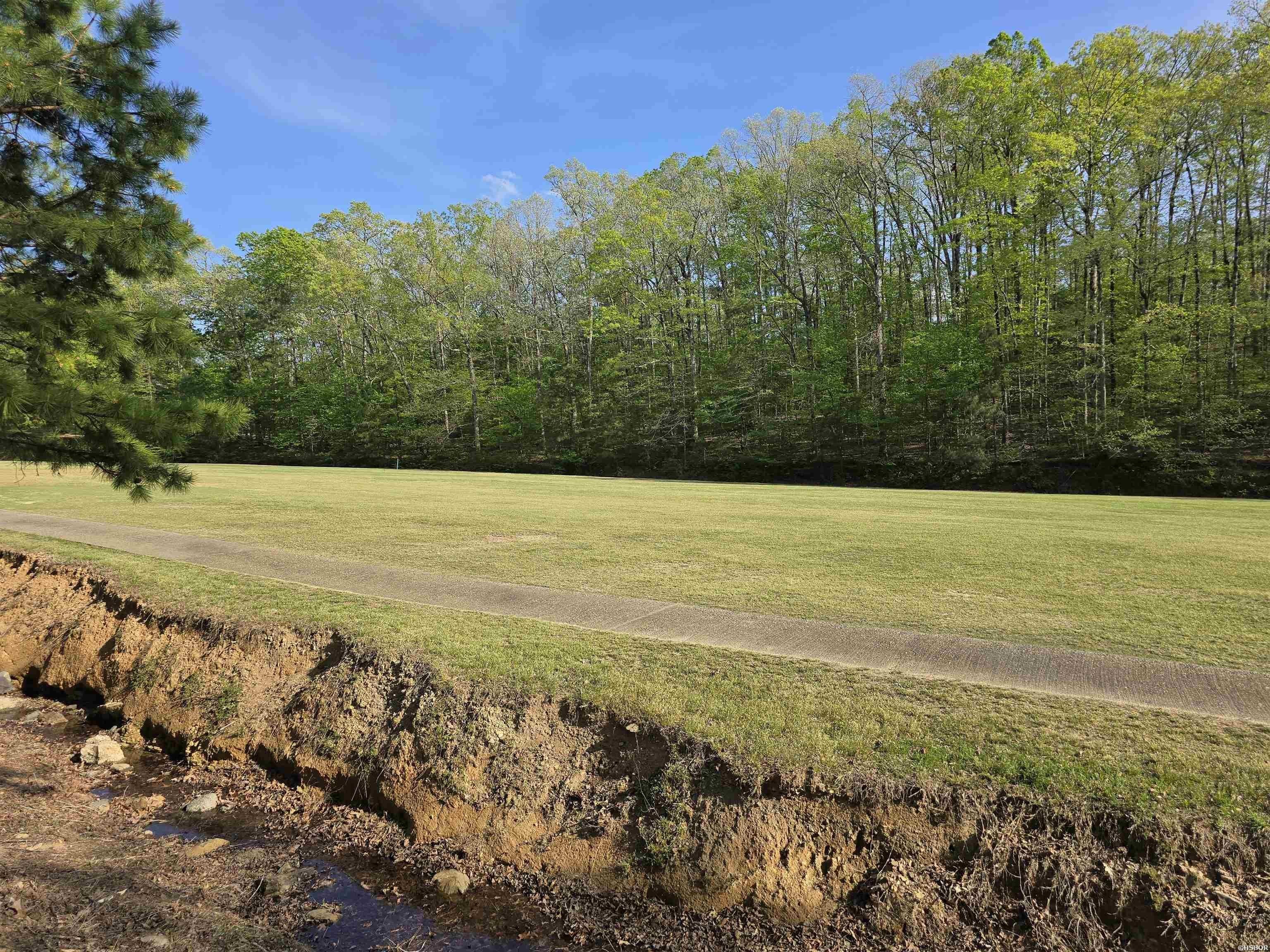 Single Family - Pt 1476 & 1477 ST ANDREWS Drive, Hot Springs, AR