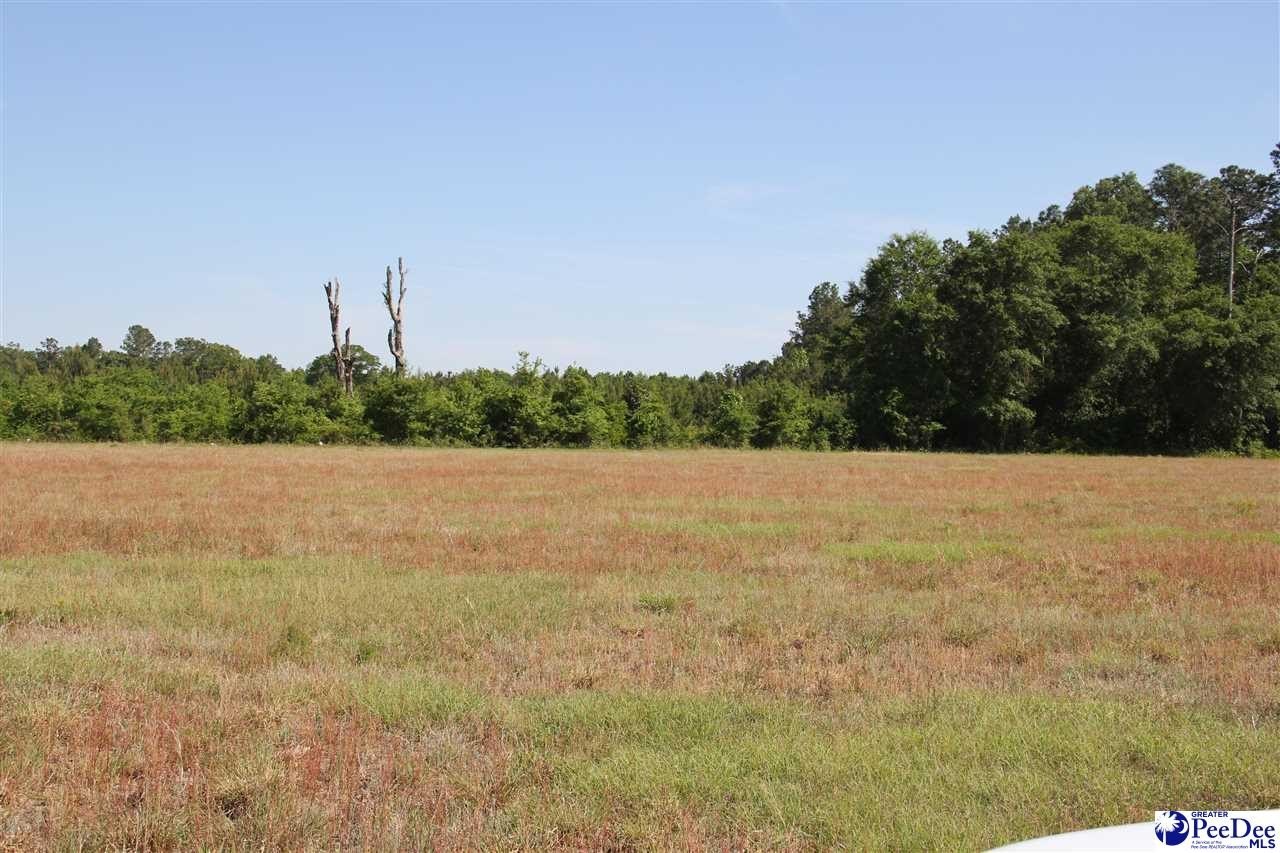 Plots and Land - TBD Gallowaytown Road, Hartsville, SC
