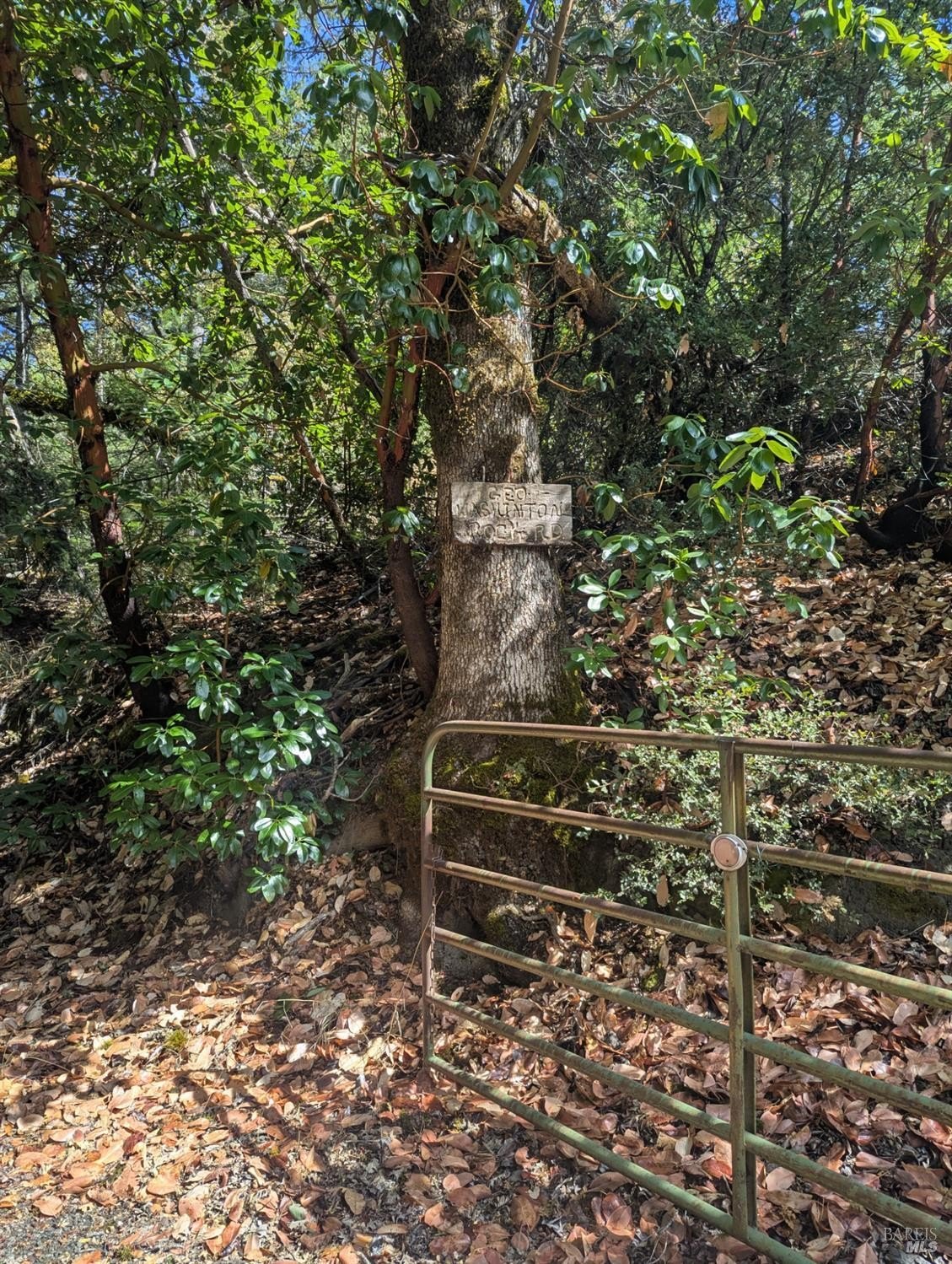 Other - 59202 George Washington Rock Road, Laytonville, CA