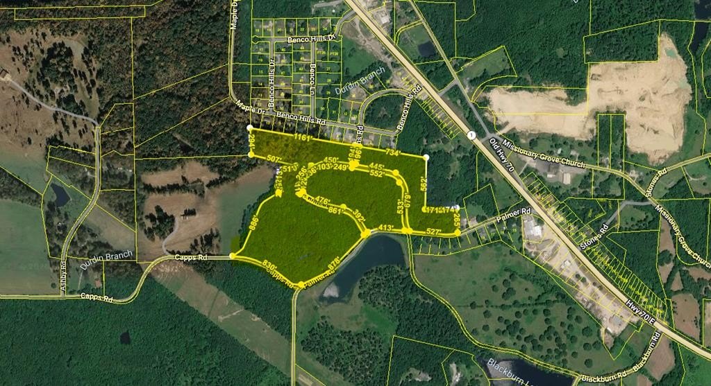 Single Family - Palmer, CAMDEN, TN