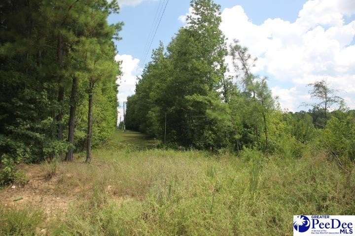 Other - TBD 3 Sweeney Rd, Chesterfield, SC
