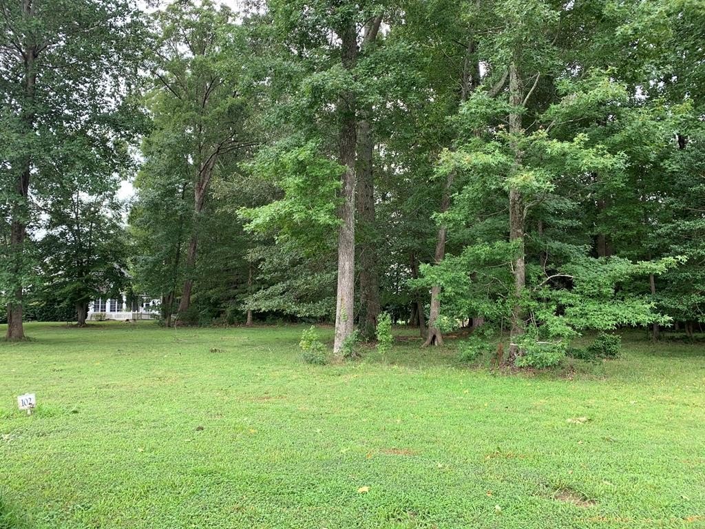 Single Family - Lot 102 Benjamin Alley, Irvington, VA