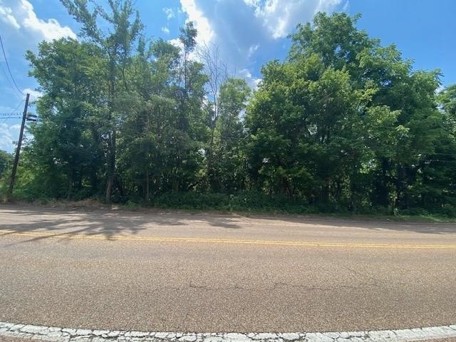 Other - HWY 18, Medon, TN