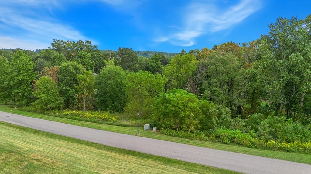 Tbd Washington Way Unit 199  