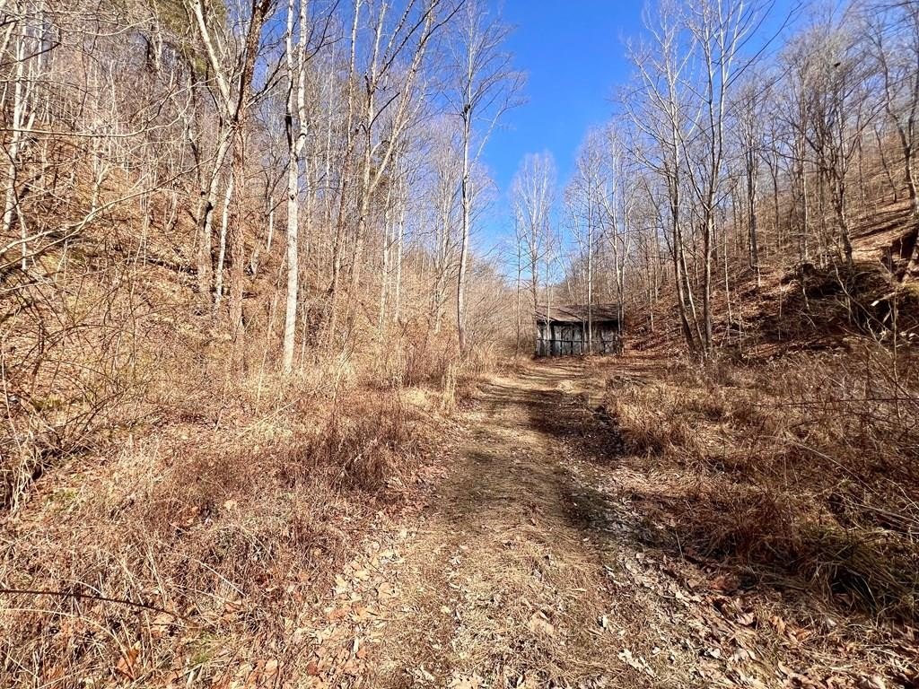 Other - 0 Bend Branch Road, Salyersville, KY