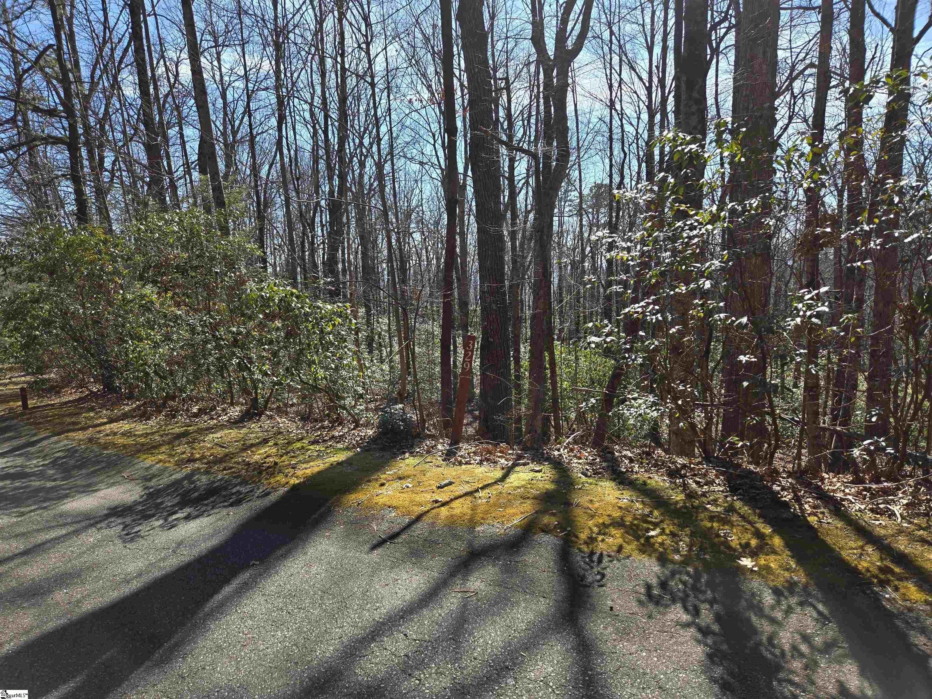 Other - 116 Birchbend, Cleveland, SC