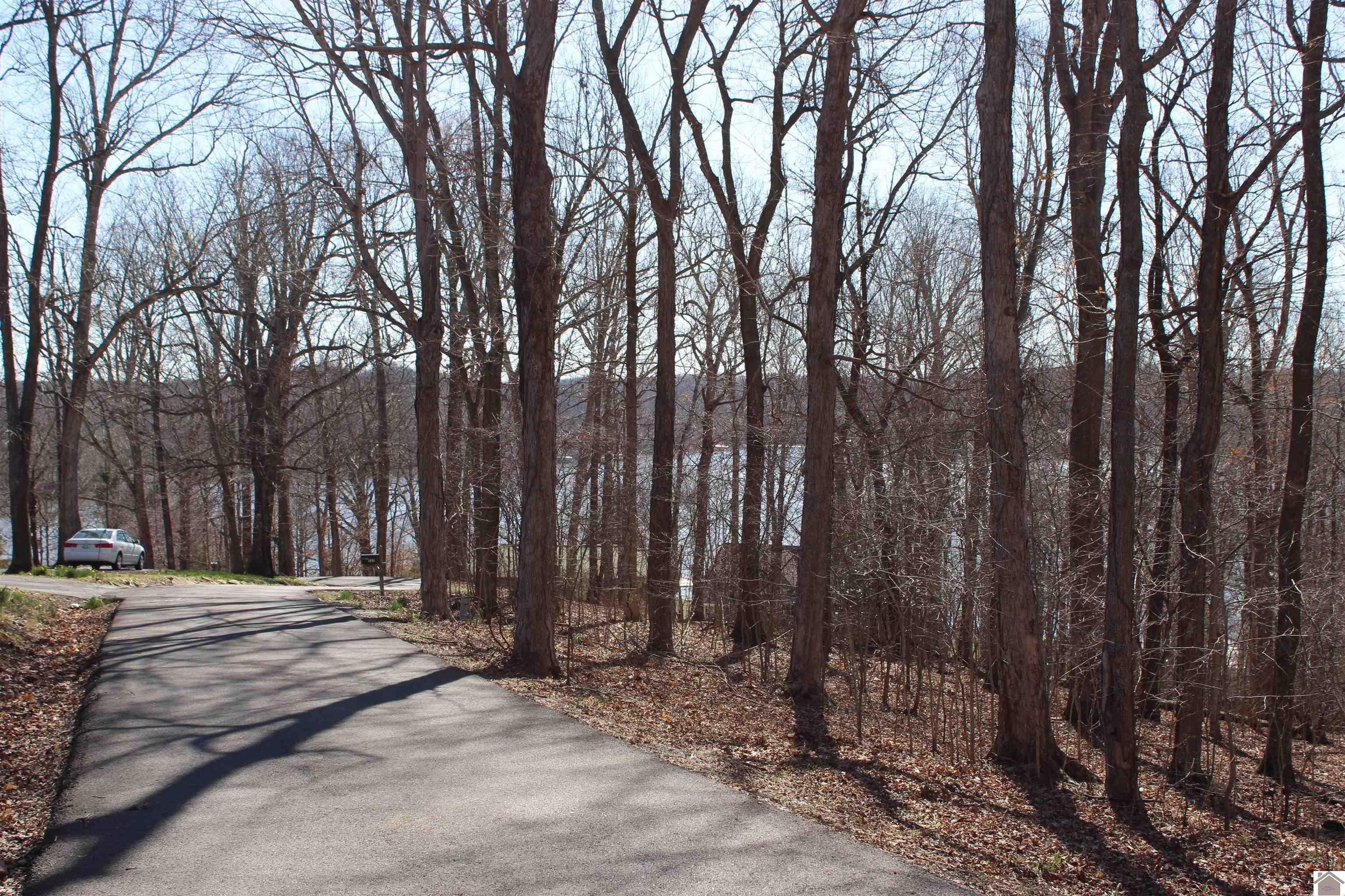 Other - Lisanby Road lot: 42/43, Eddyville, KY