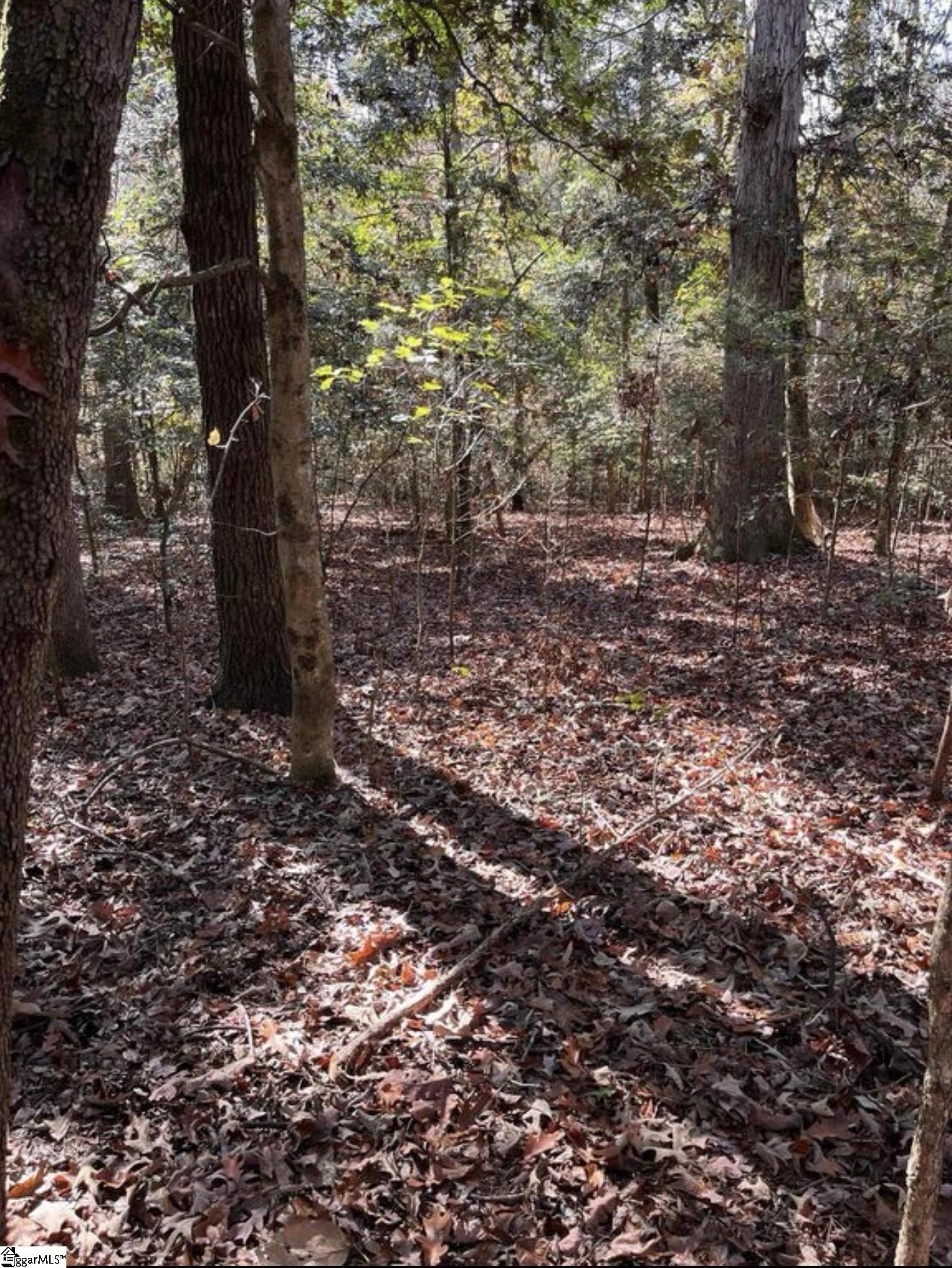 Other - 01 Evergreen Church Road, Starr, SC