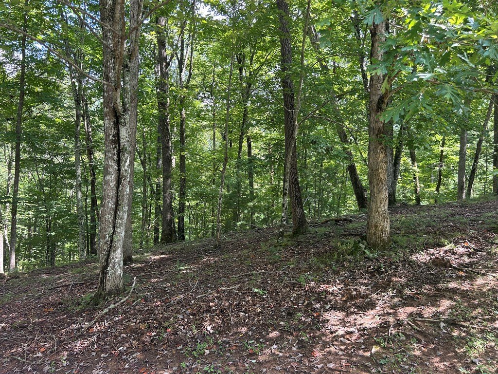 Other - Lt 19 Bitter Creek Road, Blairsville, GA