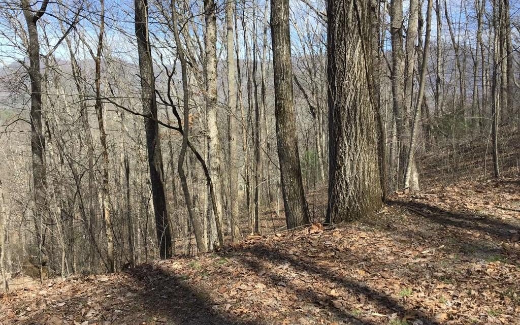Other - #61 Shiloh, Hayesville, NC