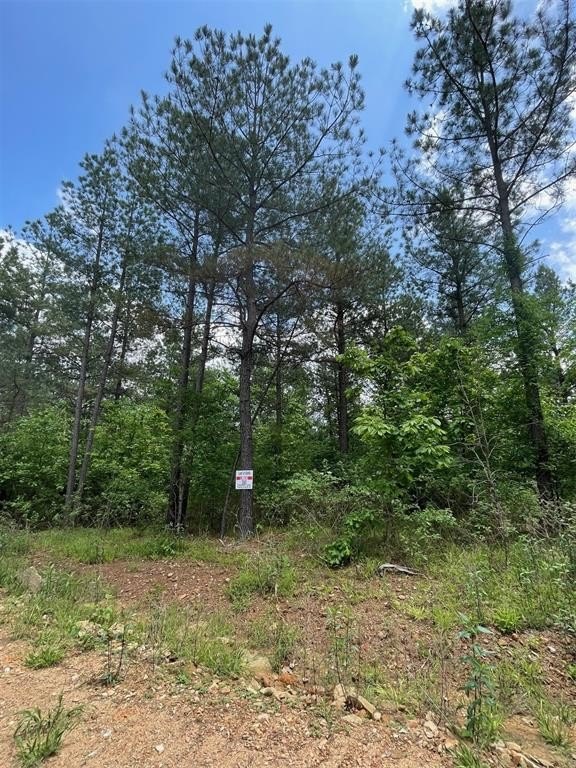 Other - 689 Timber Creek Trails S XI, Broken Bow, OK
