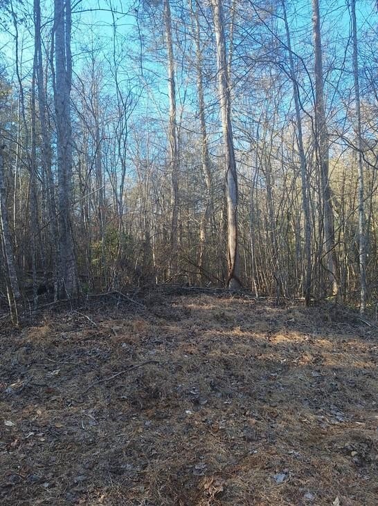 Other - lots Mill Creek Acres lot: 15A16a17a, Blue Ridge, GA