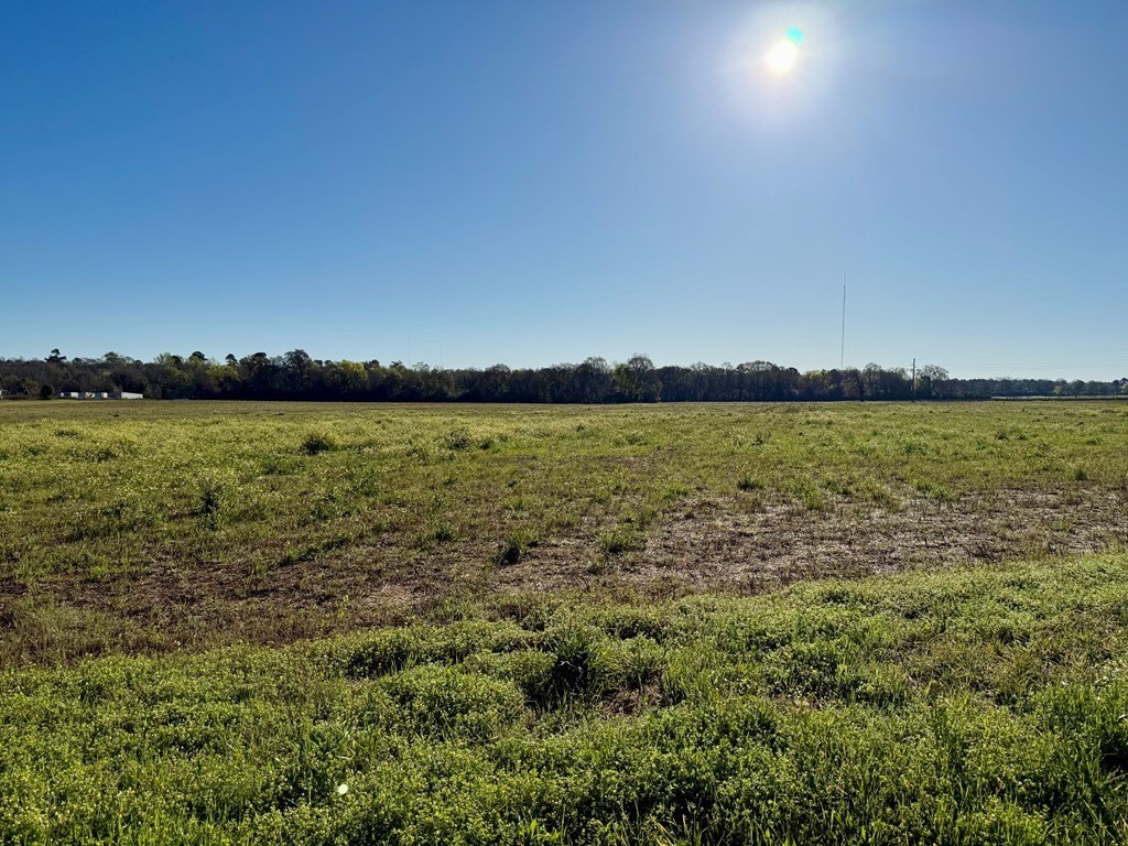 Single Family - 10.73 Acres Huskey Road, Dothan, AL