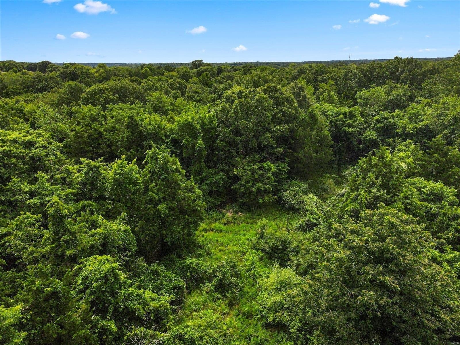 Plots and Land - 1185 Scheel Lane, Fenton, MO