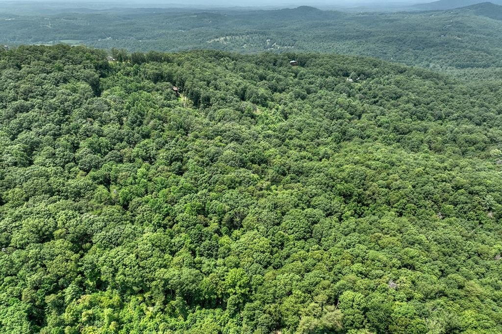 Other - 7.89 Ac Laurel Springs Road, Mineral Bluff, GA