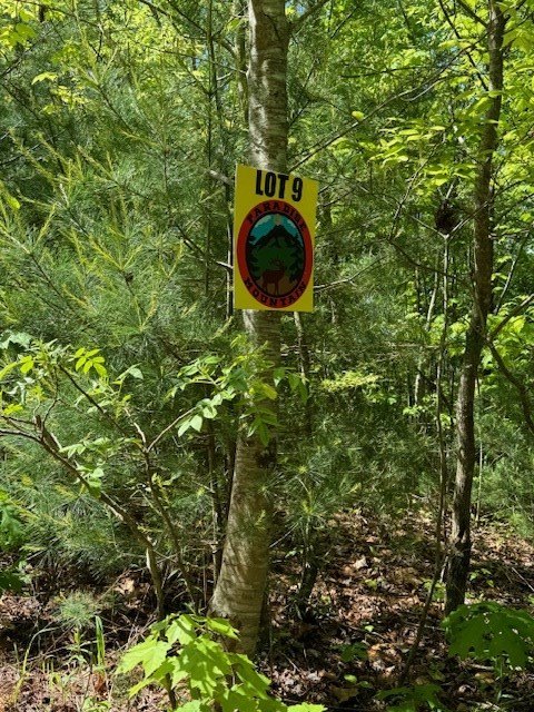 Other - Lot 9 Paradise Mountain, MARBLE, NC