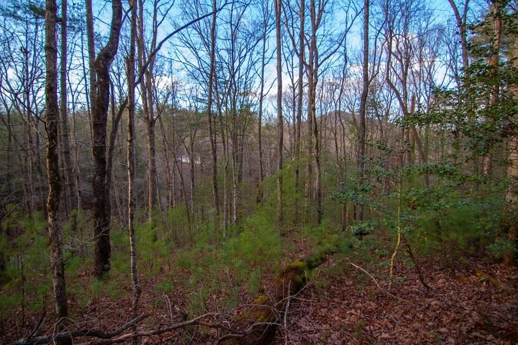 Single Family 3BR 2BA - Lot 1 Rock Creek, Cherry Log, GA