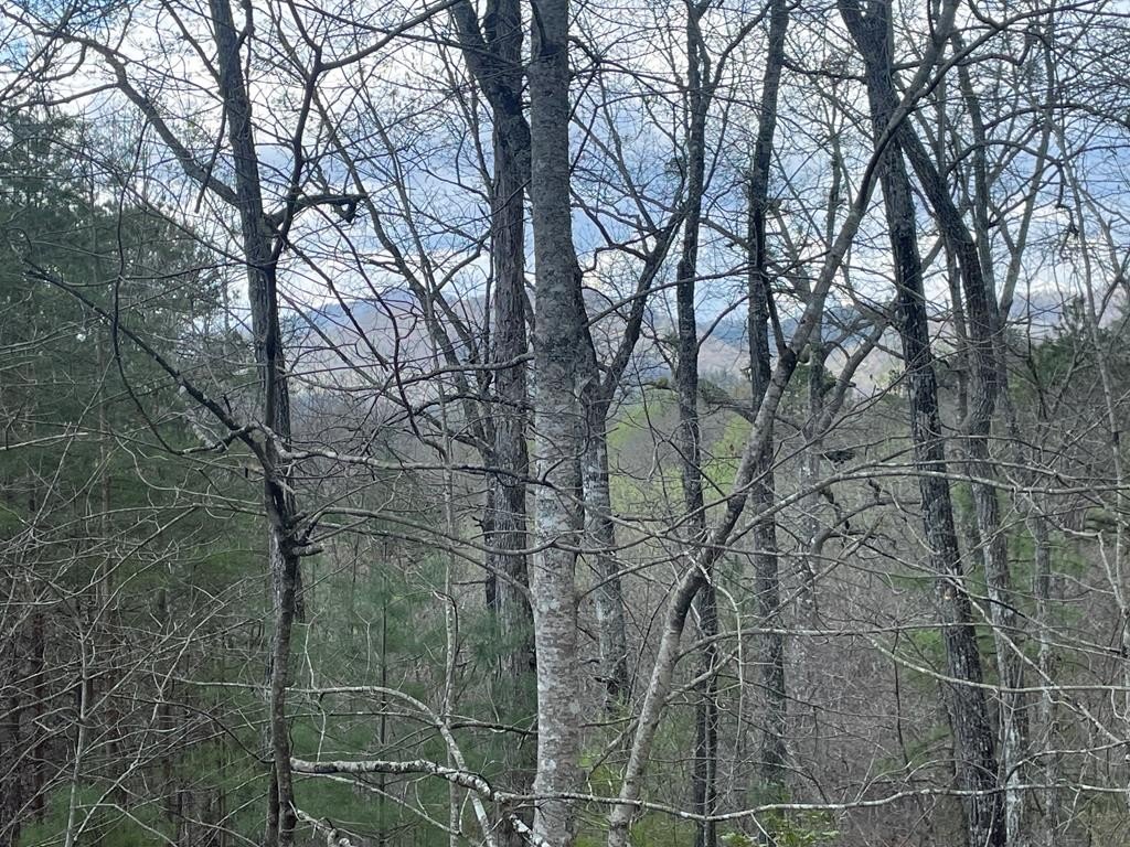 Other - 58-1 Fontana Lake Dr lot: 58-1, Bryson City, NC