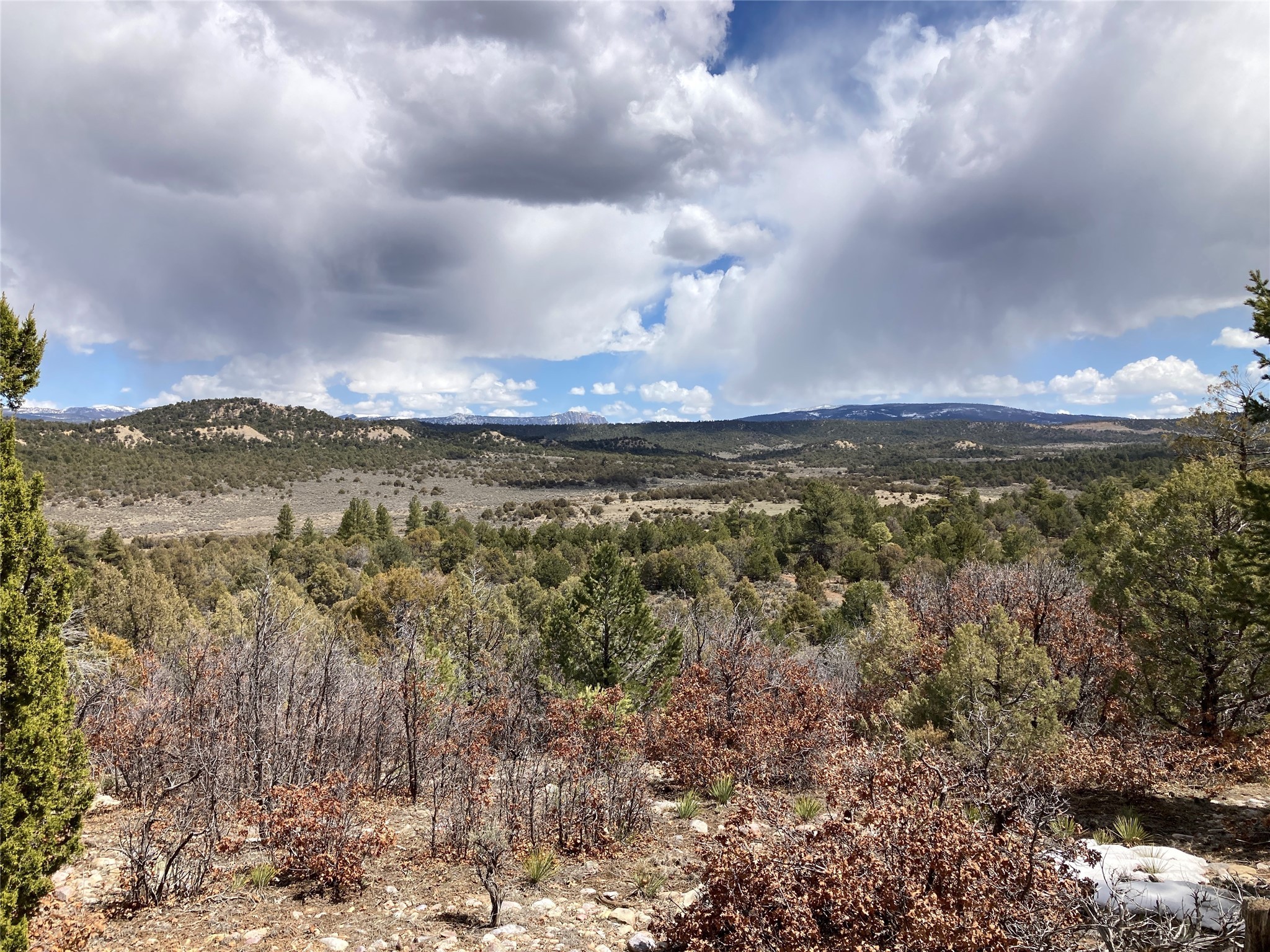 Tbd Talavera Unit 1 Lot 16  