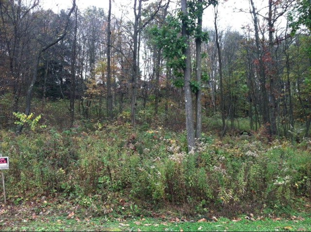 Other - 51 Shelby Lane, Shippenville, PA