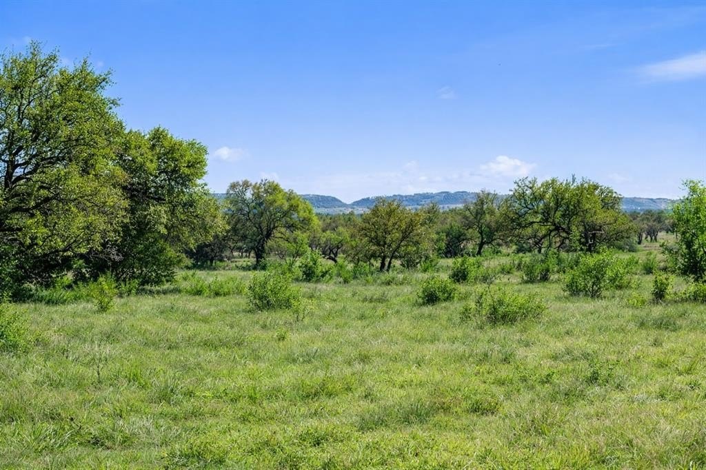 Single Family - Tract 9 &10 -- Wine Trail Dr, Johnson City, TX