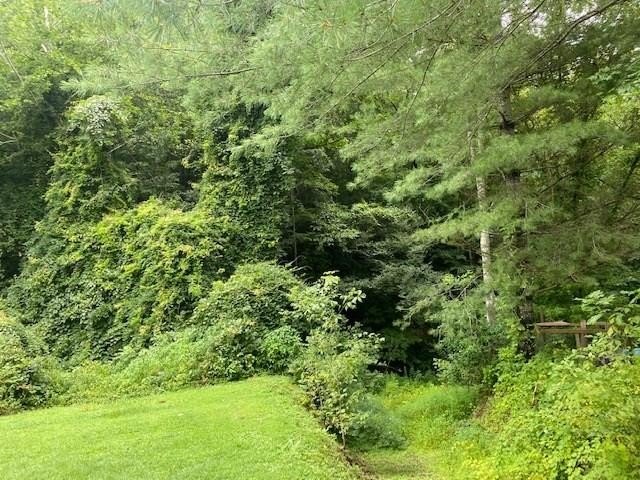 0 Old Wiley Br Rd  