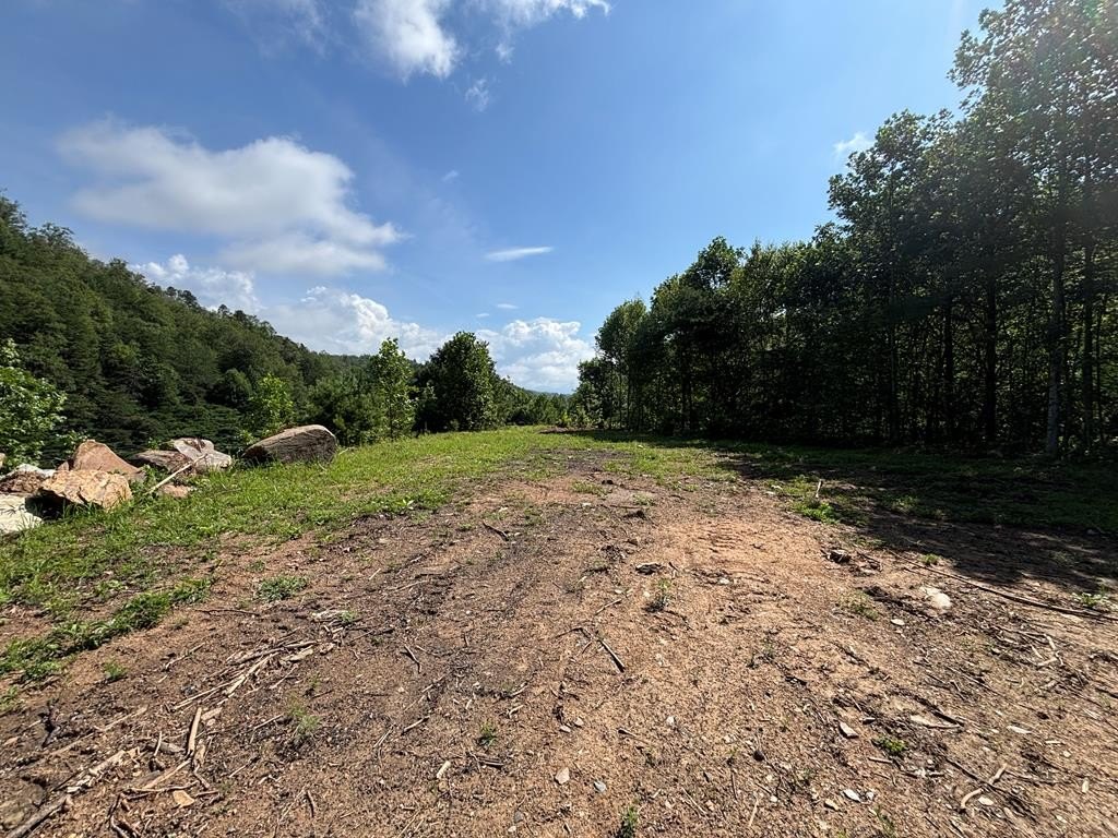 Other - 8888 Hwy 28, Almond, NC
