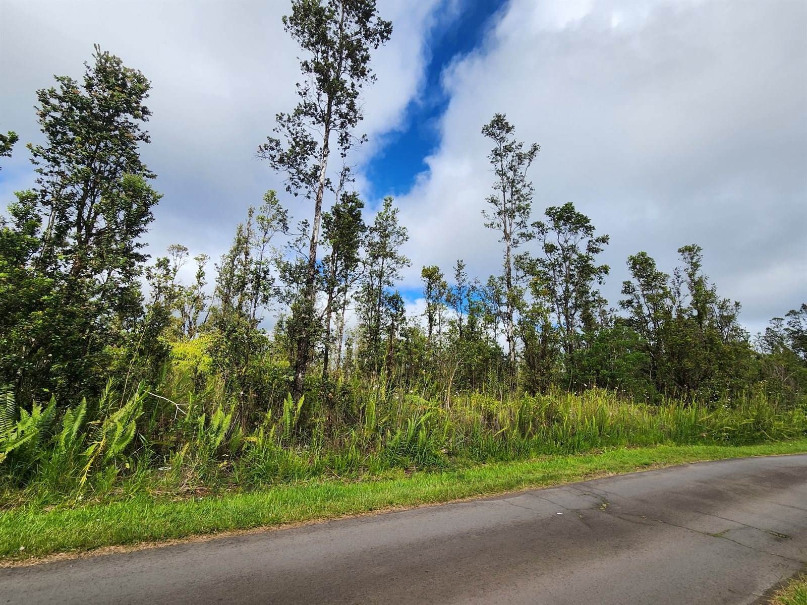 Other - 16-1793 Road 1 (Uhini Ana), Mountain View, HI