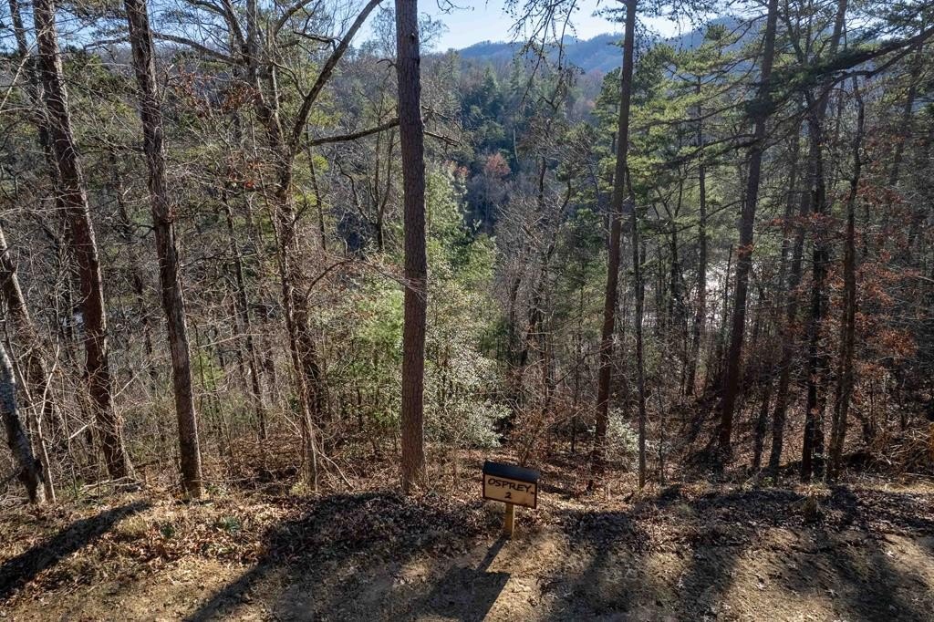 Other - Osprey Mountain Way lot: 2, Sylva, NC