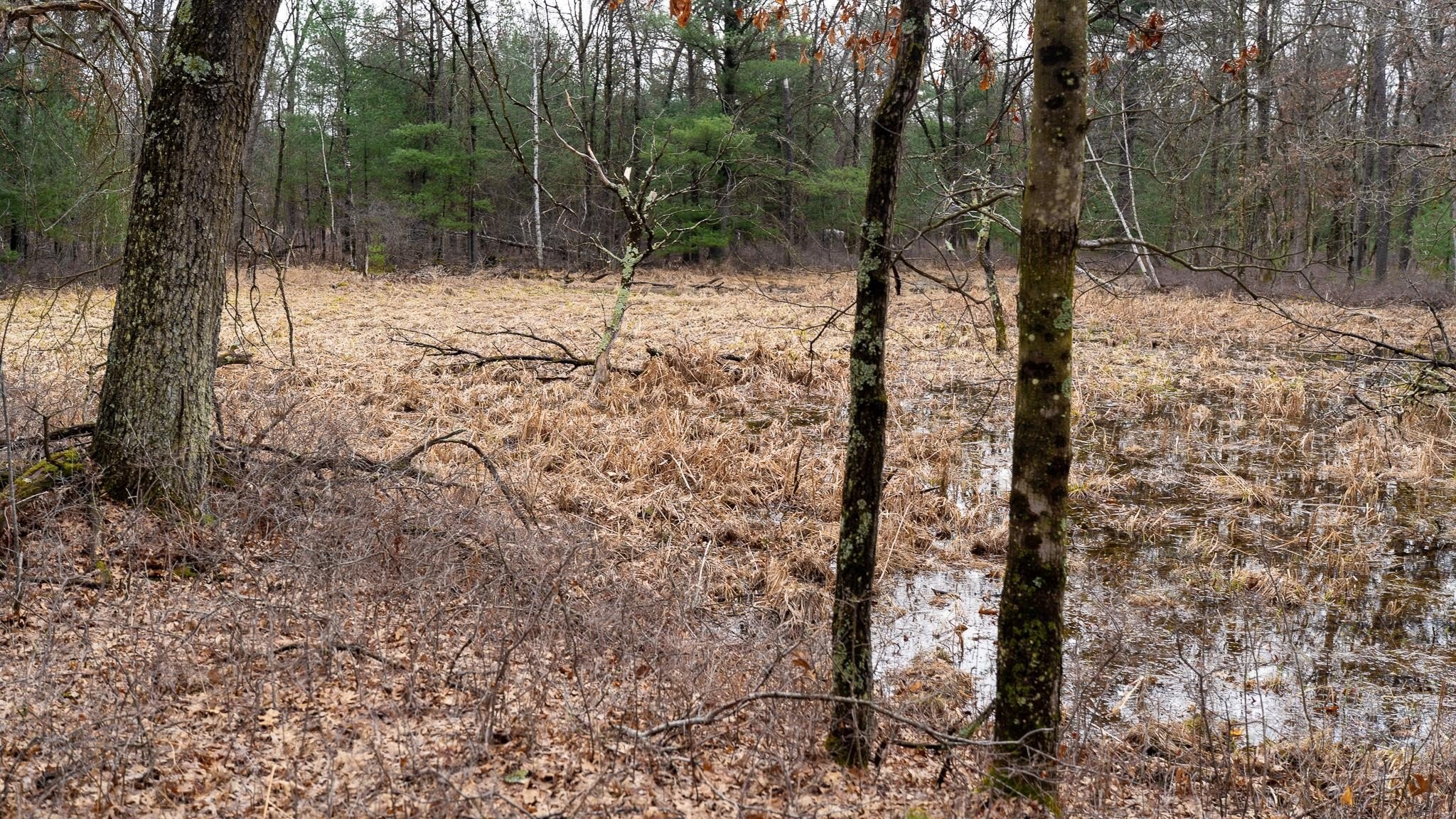 Other - Dover Drive lot: 1 14 Ac, Adams, WI