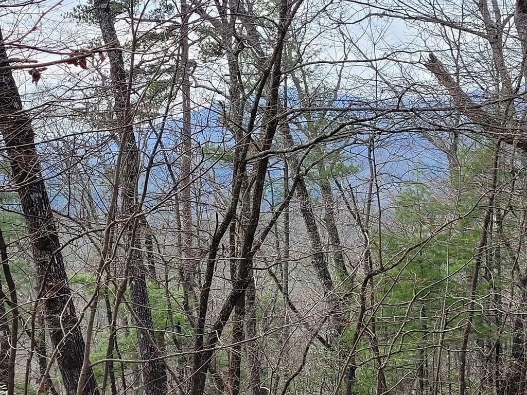 Other - Lot 49 Slate Stone Lane, Hayesville, NC