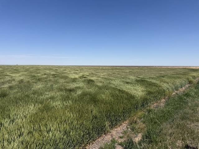 Other - 000 E ROAD 250, DIGHTON, KS