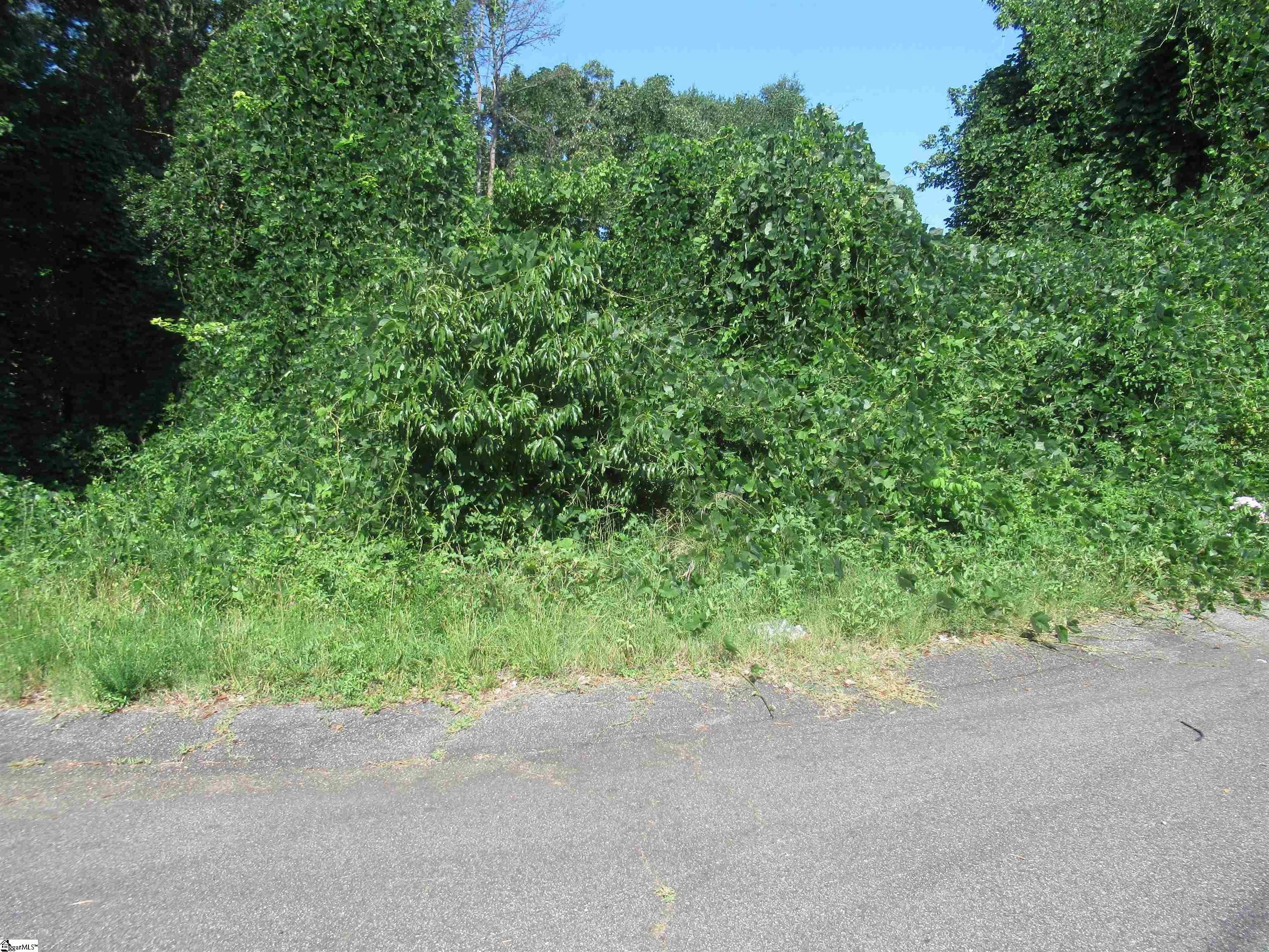 Other - Old Schoolhouse Road, Norris, SC