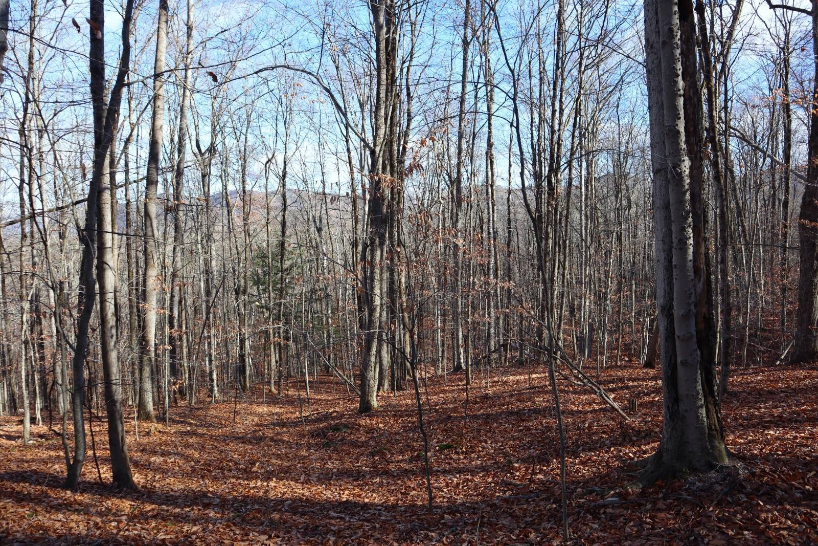 Other - 423 Hadley Rd, Stony Creek, NY