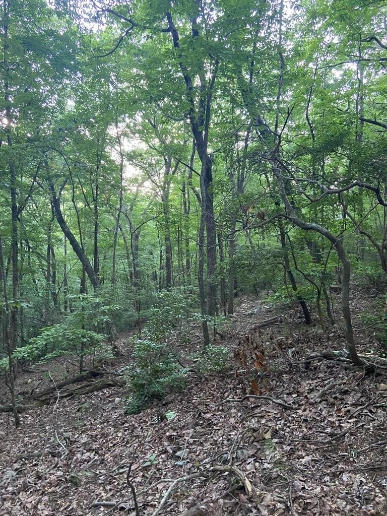 Other - Lot 58 Cherokee Circle, Ellijay, GA